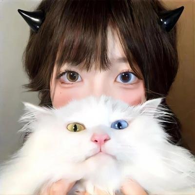 有趣的小兔子