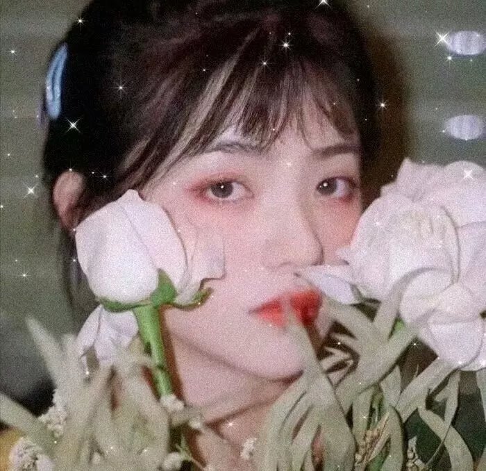 哦,我的宠妃大人